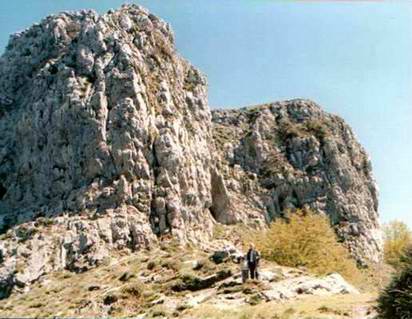 Castellammare di Stabia: la vegetazione rupicola (foto Fontanella).