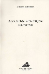 apis_more_modoque