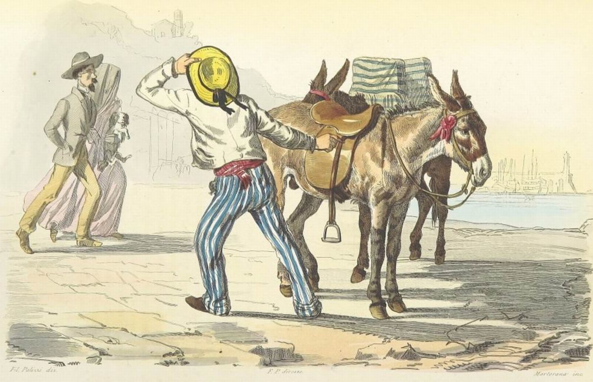 Boucard (1853) il ciucciaro (coll. Gaetano Fontana)