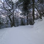 Monte Faito, nevicata 2012