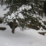Monte Faito, nevicata 2012